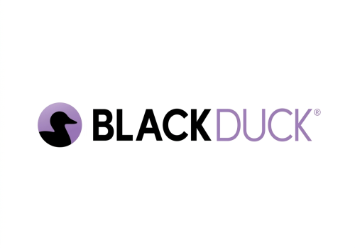 2. BlackDuck